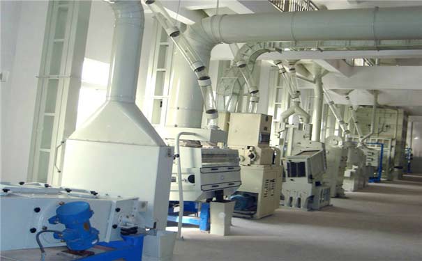 大米加工設備5.jpg
